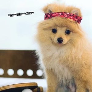 Meet your Posher, Jacob